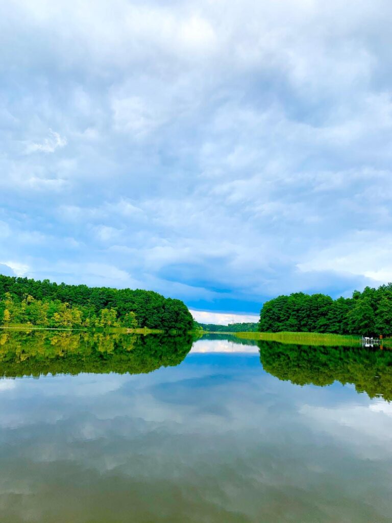 Spiegelung von Wald und Himmel im Stechlinsee